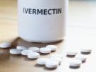 Los expertos coinciden: "La ivermectina no tiene ningún efecto sobre el hantavirus"