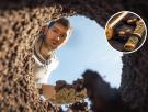 Un excursionista descubre una espada de oro de hace 1.500 años mientras paseaba: "No entendía lo que había encontrado"