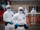 Preguntas y respuestas sobre la cepa Andes del hantavirus: así se contagia entre humanos y estos son los brotes que ha causado en otros países