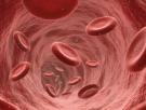 Adiós a las hemorragias incontrolables: un equipo de científicos e investigadores desarrolla un coágulo artificial 13 veces más resistente que el natural