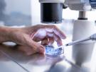 Desarrollan una IA que podría reducir entre un 30 y un 50% el número de animales en los experimentos de investigación farmacológica