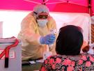 La OMS declara la emergencia internacional por un brote de ébola en el Congo y Uganda