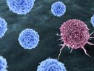 Itai Yanai, investigador y biólogo computacional: "El cáncer es mucho peor de lo que pensábamos, usan los genes contra nosotros en un motín"