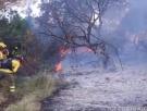 Batalla contra el fuego en Doñana por dos focos, en plena noche del salto de la reja