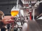 Los investigadores coinciden: los residuos del lúpulo al producir cerveza son ingredientes útiles para crear cremas solares