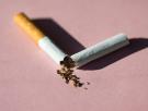Europa apunta a la nicotina y la ciencia señala al cigarro: estos países confirman el fin del tabaquismo