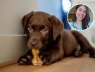 María, veterinaria, explica cuáles es el snack para perros menos recomendables: "Para llegar a ese aspecto han tenido que ser muy procesados"