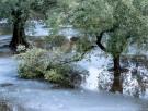 Los investigadores coinciden: los fenómenos climáticos extremos dañarán más los olivares españoles que el aumento de las temperaturas