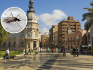 Cartagena refuerza el control de plagas con cañones robotizados tras un invierno muy lluvioso: así actúa contra mosquitos y bichos bola