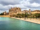 La escena que vuelve a repetirse en Mallorca y que desespera a los vecinos: "Quiero ver si hacen esto en Alemania"