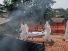 Francia detecta el primer caso de ébola en el país: su estado es favorable
