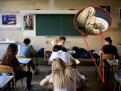 El candidato que nadie esperaba en la prueba de filosofía: una culebra de más de un metro se cuela en un examen de bachillerato y obliga a cerrar el aula