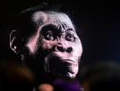 Lee Berger, el paleoantropólogo de la misteriosa cueva de Sudáfrica con esqueletos solo de hembras: "Es nuestro primer contacto con una especie no humana; sus cerebros no son cerebros humanos"