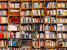 La destrucción del libro analógico, la ruina de la cultura