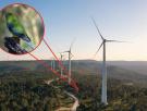 Construyeron 100 aerogeneradores en Tasmania antes de darse cuenta de que se encontraban en el camino de un loro en peligro crítico de extinción
