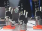 China quiere resolver uno de los principales problemas de la robótica y fabricar manos que funcionen como las humanas: "Nadie sabe cómo hacerlo"