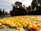 La UE explica por qué no preparó mecanismos ante Mercosur para defender la naranja de Valencia: "Las importaciones de Brasil han caído a 600.000 toneladas"