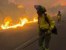 Mueren al menos 12 personas en el incendio de Los Gallardos, en Almería: hay 19 desaparecidos