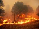 Víctor Resco, catedrático de Ingeniería Forestal: "Si un incendio quema 2.700 hectáreas, la energía que libera es equivalente a la bomba atómica de Hiroshima"