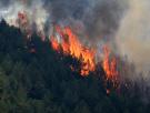 Marc Castellnou, bombero forestal: "No es un tema de recursos, sino de bosques estresados. La capacidad de incendios supera la capacidad de extinción"