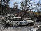 Identificados nueve de los fallecidos en el incendio de Los Gallardos: un español y ocho extranjeros