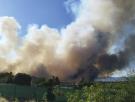 El incendio de Lozoyuela evoluciona favorablemente, pero sigue sin estar controlado: ya ha arrasado cerca de 70 hectáreas