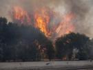 El Gobierno declara la emergencia nacional en Madrid y Ávila por los incendios y pone a la UME al mando de la operación
