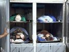 Asesinatos, mezquitas vandalizadas y partos en ambulancias: Israel aprieta en Cisjordania mientras crece el terror colono