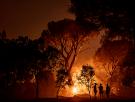 España afronta unas "horas cruciales" en la lucha contra el fuego antes de la llegada de una nueva ola de calor
