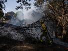Un ingeniero agrónomo plantea un método "que podemos abordar incluso los vecinos" para evitar lo que ha ocurrido con los últimos incendios