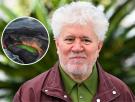 Pedro Almodóvar, 76 años: "La negrura de Lanzarote es muy dramática y espiritual, es un paisaje perfecto para desaparecer, esconderse o llorar"