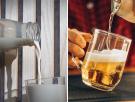 Del pienso a la 'leche': la malagueña que convierte el bagazo de la cerveza en una bebida con el triple de proteína que la avena