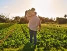 Cristian, agricultor a 1.300 metros en la sierra de Madrid, rechazó 700.000 euros por su hectárea: "El verdadero valor de la finca no está solo en el dinero"