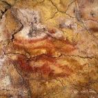 Imagen facilitada por el Museo de Altamira de un signo claviforme en la cueva de Altamira. | Efe