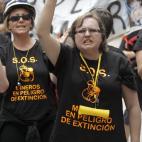 La mayoría de las mujeres de los mineros se concentraron en el exterior del Senado para protestar