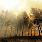 Aspecto del monte tras el incendio.
