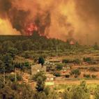 5c8b63e92300007f01249cb1