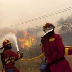 5c8b63eb2300000401249cb9