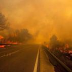 5c8b63eb240000f404a49846