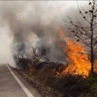 5c8b63eb360000a61b6cf686