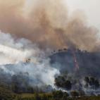 5c8b63ec2500000d04ca8be4