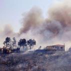 5c8b63ed3b000002076d7768