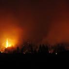 Una de las zonas más afectadas por el incendio en el municipio tinerfeño de Adeje