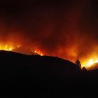 Así se encuentra uno de los montes afectados por el incendio