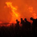 Un grupo de bomberos intenta retener el avance de las llamas