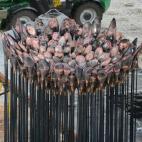 5c8b6f1e230000dd0424b8a2