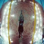 5c8ac6ce250000520681b9d9