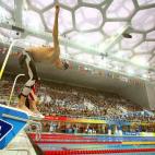 5c8ac6ce3b000072066c8d4f