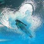 5c8ac6f03b000054066c8d96