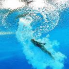 5c8ac6f720000043046fba3d